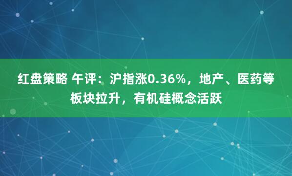 红盘策略 午评：沪指涨0.36%，地产、医药等板块拉升，有机硅概念活跃