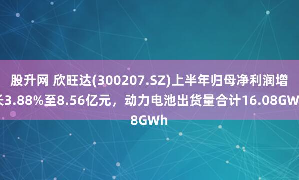 股升网 欣旺达(300207.SZ)上半年归母净利润增长3.88%至8.56亿元，动力电池出货量合计16.08GWh